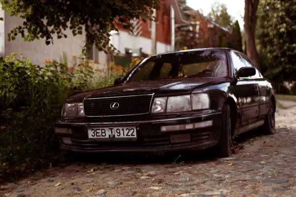 WinFest Kasino Apl Android/iOS